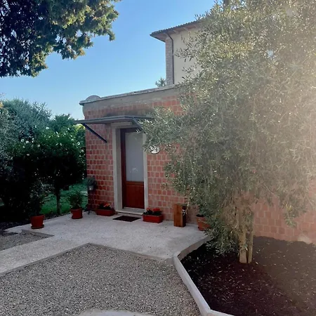 L'olivo Ponteginori
